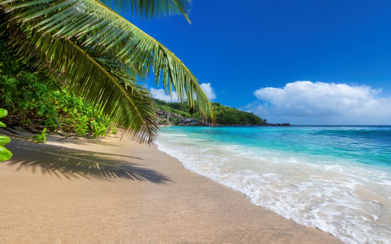 Grenada citizenship